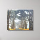 Suche nach tunnel leinwandbilder Fotografie