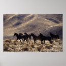 Suche nach mustangs poster Wüste