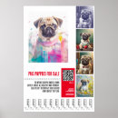 Suche nach möpse poster Für haustiere