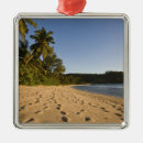 Suche nach seychellen ornamente Insel