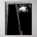 Suche nach traurig poster Verlassen