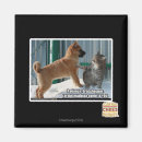 Suche nach heuschrecken magnete Ich kann habe cheezburger