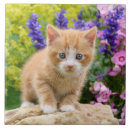 Suche nach lustige katzen fliesen Für sie