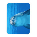 Suche nach niedlicher delphin magnete Blau