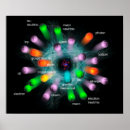 Suche nach nuklear poster Atom