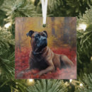 Suche nach cane corso ornamente Rohrkorso