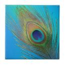 Suche nach schwanz fliesen Muster