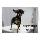 Suche nach chien Hund