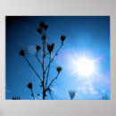 Suche nach tba poster Natur