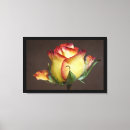Suche nach rote rosen leinwandbilder Couple
