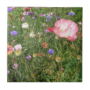 Suche nach wilde blumen fliesen Natur