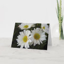 Suche nach weiße gänseblümchen karten Danke