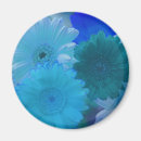 Suche nach gerbera magnete Griechen