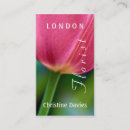 Suche nach rosa dahlien visitenkarten Fotografie