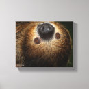 Suche nach trägheit poster Fotos von sloths
