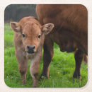 Suche nach die herde untersetzer Ranch