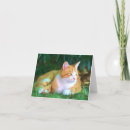 Suche nach tabbykatze karten Fotografie