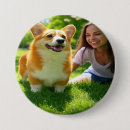 Suche nach begleiter buttons Für haustiere