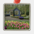 Suche nach hyazinthen ornamente Natur