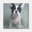 Suche nach french bulldog magnete Hund