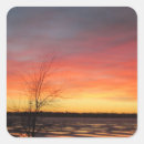 Suche nach lila sonnenuntergang aufkleber Gelb