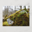Suche nach moos postkarten Natur