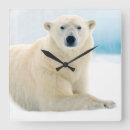 Suche nach eisbär wanduhren Fleischfresser