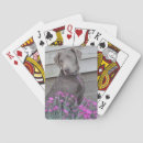 Suche nach labradors Haustier