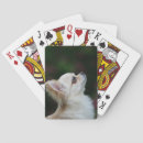 Suche nach profil spielkarten Bob and pam langrish