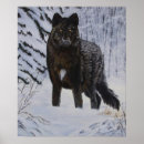 Suche nach black wolf poster Tiere