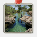 Suche nach jamaika ornamente Insel