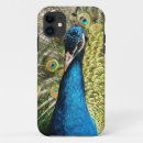 Suche nach bunter pfau iphone hüllen Tier
