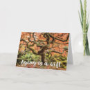 Suche nach glücklich baum der karten Foto
