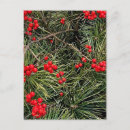 Suche nach rote beeren postkarten Weihnachtsbaum