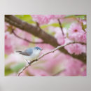 Suche nach gartenvögel poster Blume