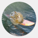 Suche nach surfen aufkleber Niedlich