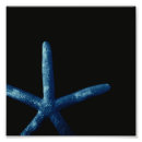 Suche nach oceanlife Blau