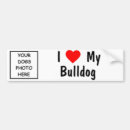Suche nach bulldogge autoaufkleber Hund