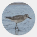 Suche nach strandaufkleber Ozean