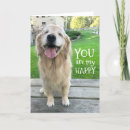 Suche nach was doge ist karten Goldene retriever