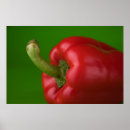 Suche nach paprika poster Nahrung
