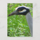 Suche nach heldin postkarten Vogelvogel