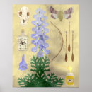 Suche nach fluch poster Hexe