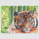 Suche nach cube Tiger