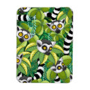 Suche nach primate magnete Dschungel