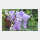 Suche nach iris blumen aufkleber Violett