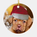 Suche nach bordeaux ornamente Dogue de bordeaux