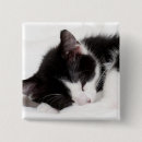Suche nach flaumig buttons Katze