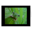 Suche nach froschkarte Niedlicher frosch