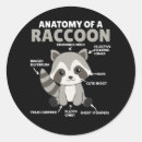 Suche nach lustige waschbär aufkleber Rennradliebhaber